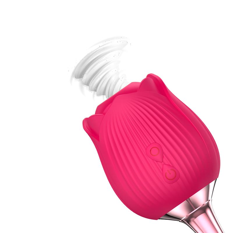 Succionador de Clítoris y Vibrador de Alta Potencia en Forma de Rosa